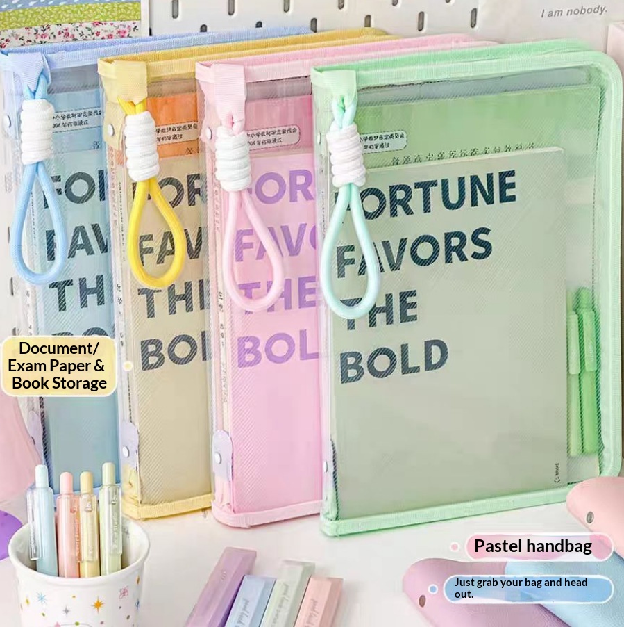 문서 가방 투명 손잡이 지퍼가 달린 하드 쉘 파일 폴더 - Document Organizer Folder 리뷰 및 가격